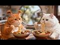 Orange Cat Cooks Snail Noodles for White Cat 🍜 | cute cat cooking
