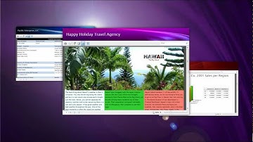 XPS Document Viewers Video Tour