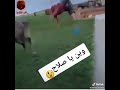رجل يركب حمار 