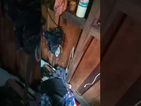 ผลสลากกินแบ่งรัฐบาล วันที่ 1 พย. 2567