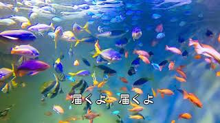 はばたきたい Prod.CMLみらい feat.歌愛ユキ