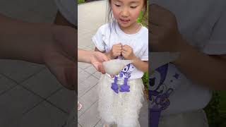 Thumbnail for Cool Items!🥰 New Gadgets, Smart Appliances, Kitchen Tools Utensils, Home Cleaning, Beauty #shorts