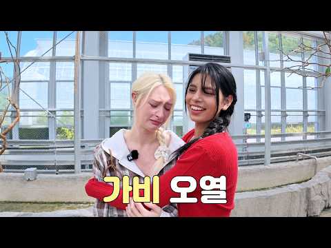 스리야는 웃고 가비는 울었다 (feat. 앵무새 🦜)