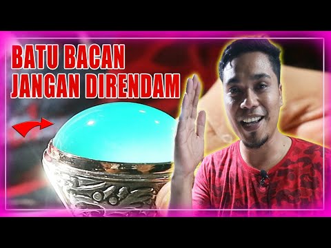 Bacan coklat yang paling diburu para i'tem dan kolektor. 