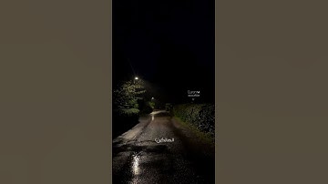 القارئ : محمد هشام.