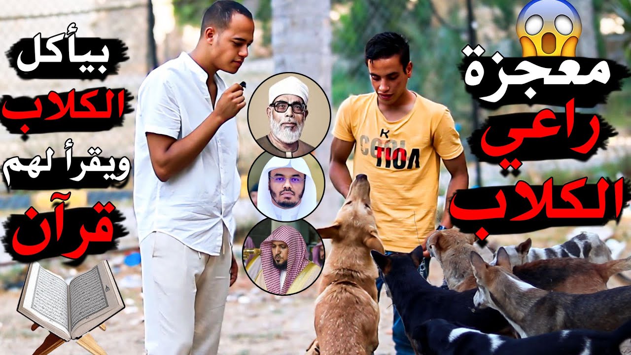 معجزة راعي الكـ ـلاب 🤯💔 بيأكل كـ ـلاب الشوارع ويقرأ قراّن بصوت الشيوخ لهم 😯💔 تريند والله يبني !!