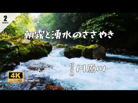 【ASMR自然音】鳥のさえずり、清流のささやき | 作業用BGM | 川の音・鳥の声 | 環境音BGM