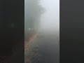 Foggy and Smoggy Morning