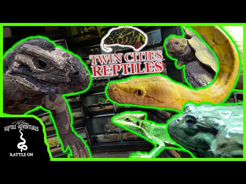 TOURING THE OLDEST REPTILE SHOP IN THE UNITED STATES! Twin Cities