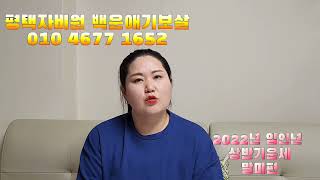 말띠운세 2022년 임인년 상반기 띠별운세 도약할수있수있는기회! 니맘 내맘 단속 철저히 하세요