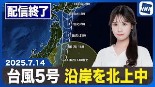 ウェザーニュースの配信のサムネイル画像