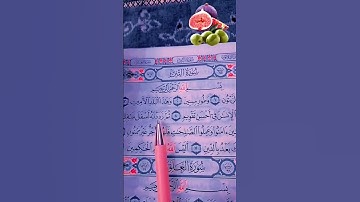 القرآن الكريم سورة التين الشيخ سعد الغامدي