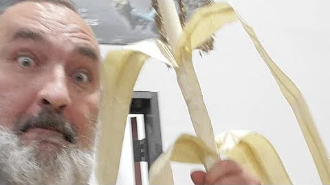 Create Realistic and Durable Halloween Decorations with Homemade Corn Stalks