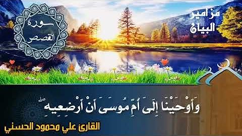 القارئ علي محمود/ يقرأ حجاز من الخيال
