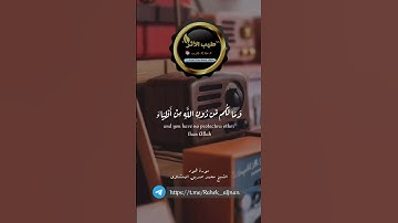 تلاوة عطرة #تلاوات #اكسبلور #المصحف #المنشاوي #ترند