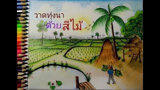 วาดทุ่งนาสวยๆด้วยสีไม้ | How to draw rice field