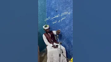 جديد الفنان حامد عثمان التايغر سيد الاسم 2025 