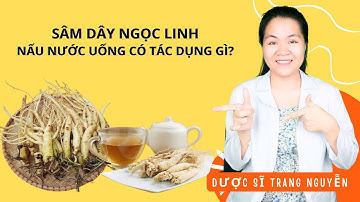 Sâm dây Ngọc Linh nấu nước uống có tác dụng gì? Những ai thì không nên sử dụng Sâm dây Ngọc Linh