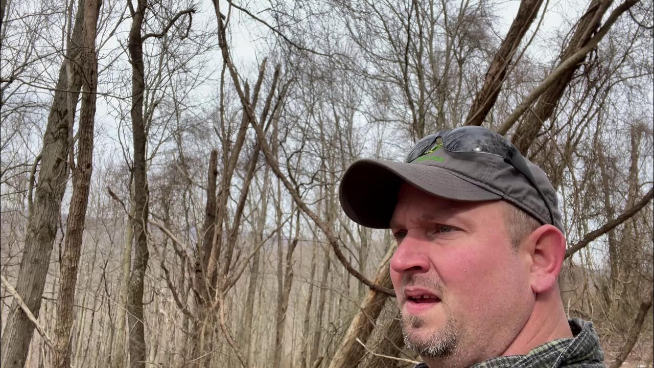 Getting tree stands and not getting stuck YouTube
