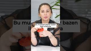 Zari Hakkinda Tüm Gerçekleri̇ Öğreni̇n