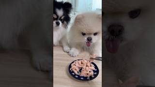 오늘간식은 뭐지?