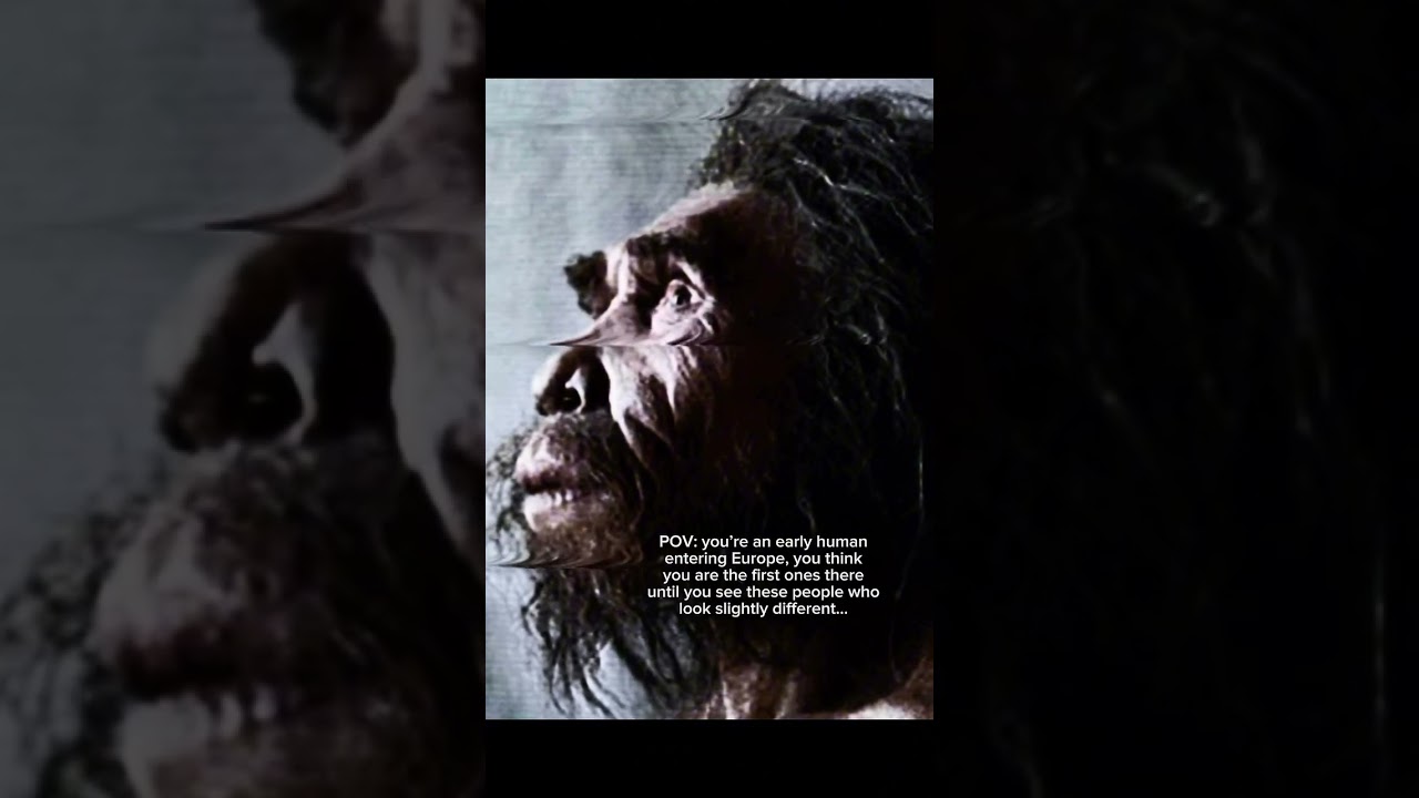 The Dmanisi hominins  