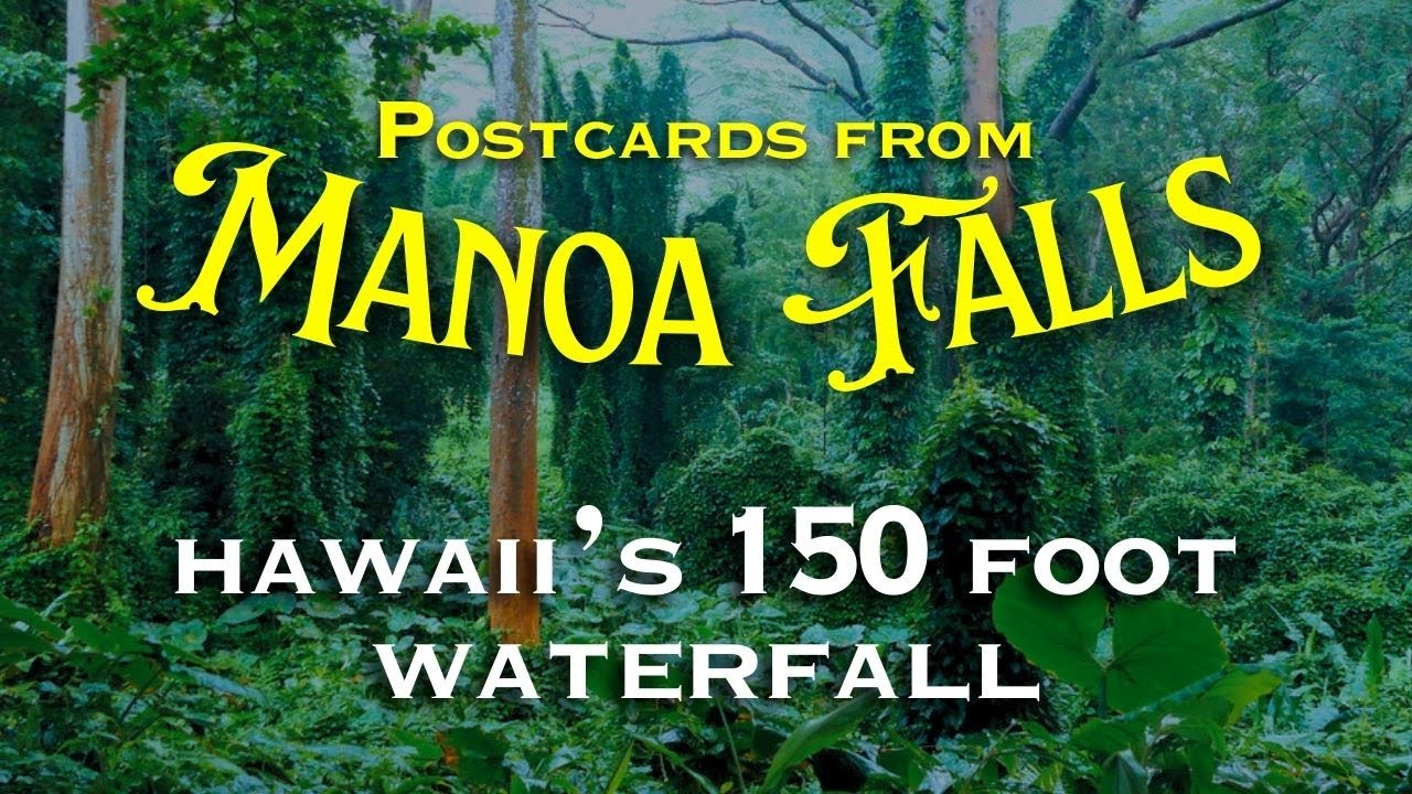 I hiked to a BEAUTIFUL WATERFALL in Hawaii (Manoa Falls TRAVEL GUIDE)