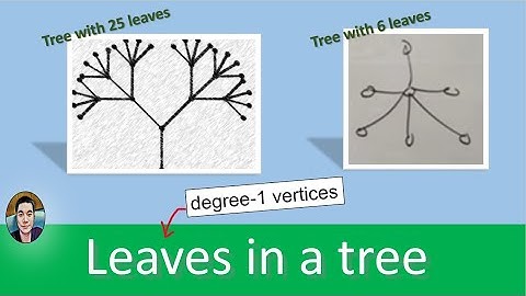 Graph Theory Chapter 3: Leaves and Tree