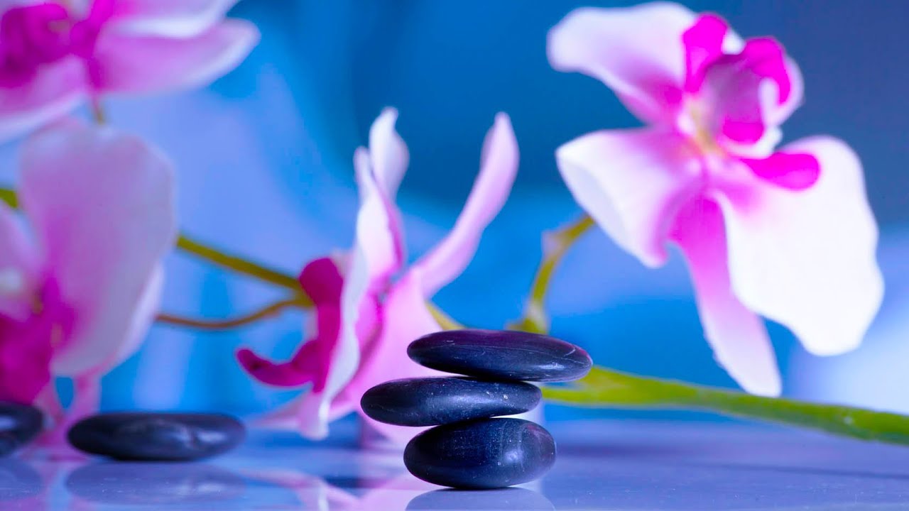 8 Horas De Musica Relajante Musica Meditacion Relajacion Dormir Estudiar Trabajar Spa Zen Youtube