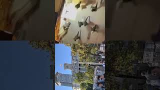 Atentado de Plaza Catalunya 24.10.2026