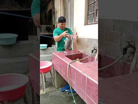 grabe napakalaki ng isda