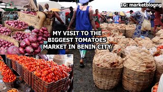 My Visit To The Biggest Tomatoes Market In Benin City Aduwawa Tomatoes Market