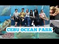 Exploring Cebu Ocean Park