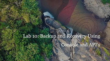 Lab 10 Backup and Recovery using Console and API