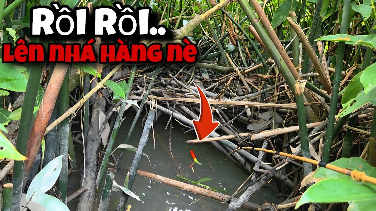 Tập 159 - Gần Đầy Thùng Cá Luôn Rồi, Mùa Nước Về Câu Cá Rô Đồng Đã Thiệt