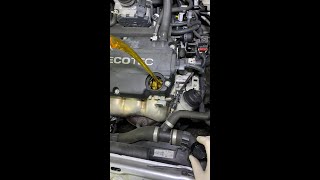 DIY OPEL ASTRA H OIL CHANGE Z14XEP 1.4 16V ÖLWECHSELN HOW TO CHANGE OIL WITH FILTER OPEL ASTRA H