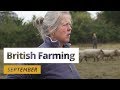 British Farming | 12 Months On A UK Farm: September