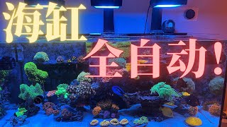 Completely intelligent and automated reef tank! [Red sea reefer 350]