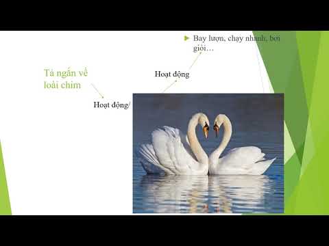 Tiếng Việt 2: Ôn tập giữa học kì II: Mở rộng vốn từ về chim chóc (Tiết 4 và 6) - Tuần 27