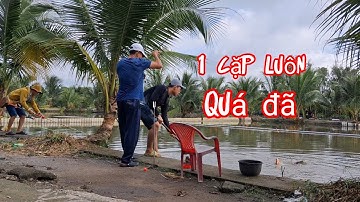 Câu cá giải trí hồ dịch vụ - hồ tân bình dương - cá lên lần một cặp