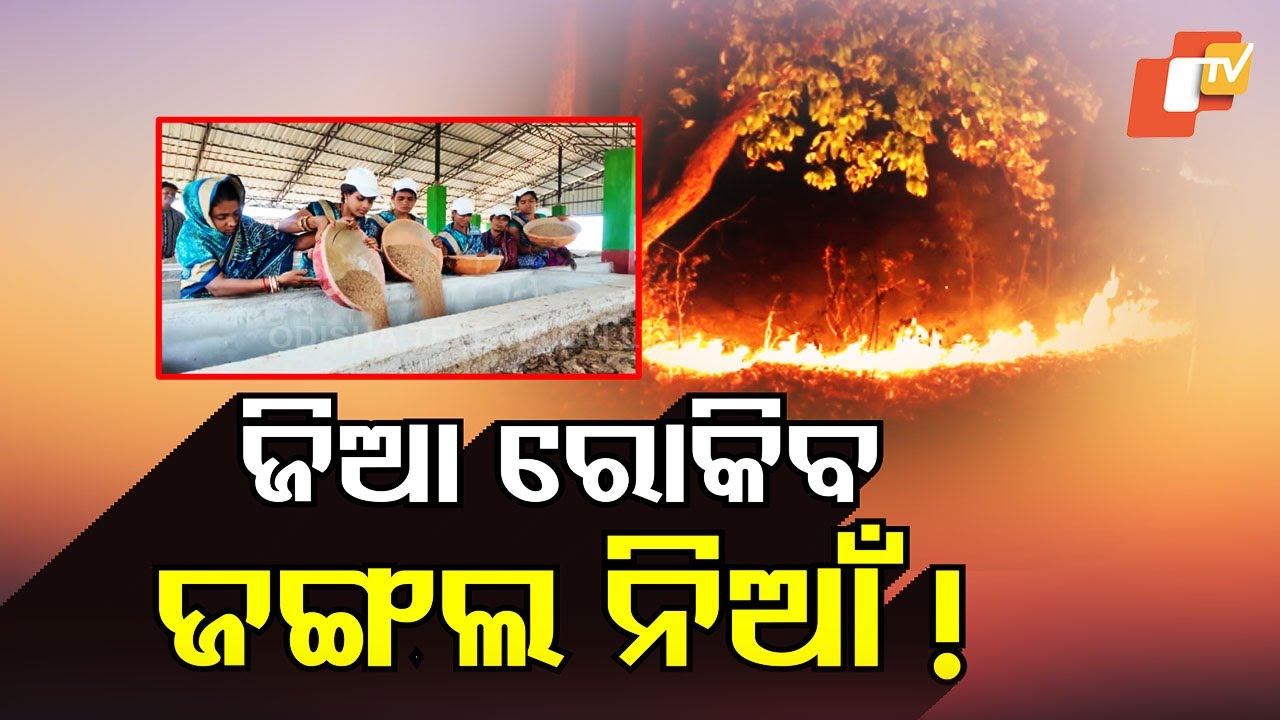 New Solution Emerges With Vermi Compost Unit Which Will Stop Forest Fire