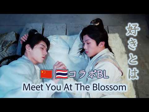 花華やぐも、散るは密やか～花開有時、頽靡無声～/Meet You At The