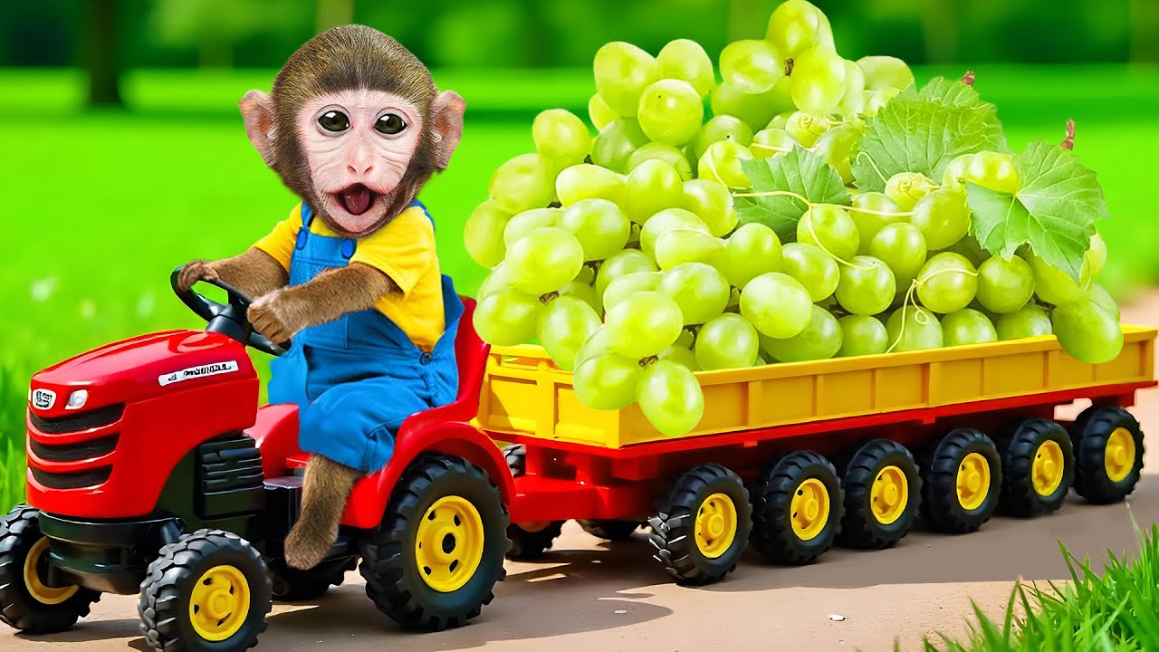 Mono Bon Bon Va A Cosechar Uvas Y Le Roban El Coche En La Gasolinera | MoMo Aventuras Esp