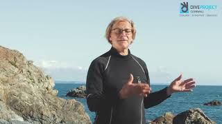 Dive Project Cornwall needs you!
