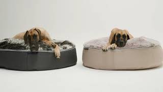 Everything about the XXL luxury Pet Bed by ambient lounge is BIG ...