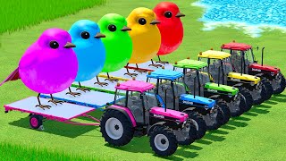 TRANSPORTING GIANT BIRDS WITH NEW HOLLAND COLORED TRACTORS & FORKLIFT LOADER  - Farming Simulator 22