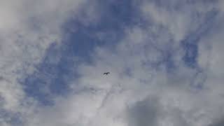 Hyperlapse July  clouds, East Anchorage