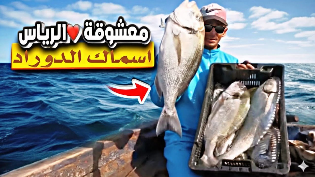 كفاح البحار: رحلة صيد سمك دوراد🐟 وسمك الشرغو وأنواع مختلفة بي تقنية البلانكري 🌞