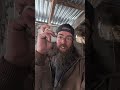 Feeding our Chicken on one of the last cold days #chickens #coop #cold #spring