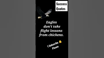 Eagles Don't Take Flight Lassons..#englishquotes #shorts #vocabulary #motivationalstatus #viral